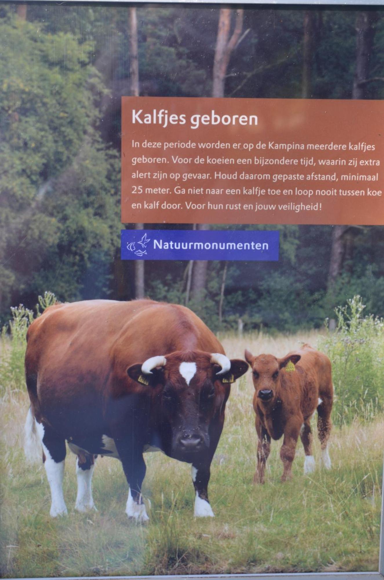 Erfgoed & Logies Den Heijkant Moergestel Ruang foto